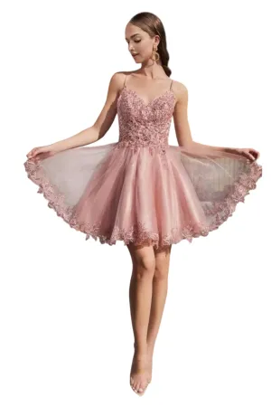Flattering V-Neckline Dress 2025 Elegant Formal Evening Dress