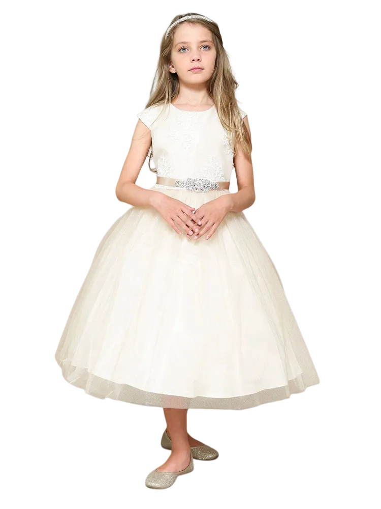 Girls Silk Embroidered Top Tulle Overlay Dress 2-16