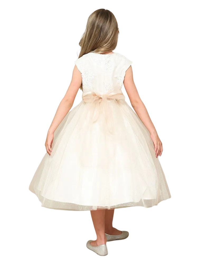 Girls Silk Embroidered Top Tulle Overlay Dress 2-16