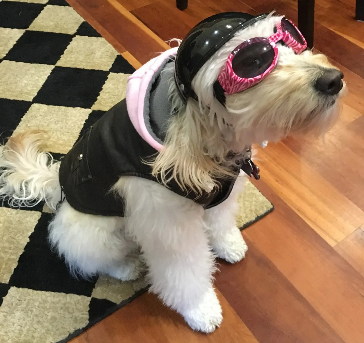 VINTAGE BOMBER DOG JACKET