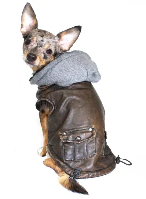 VINTAGE BOMBER DOG JACKET